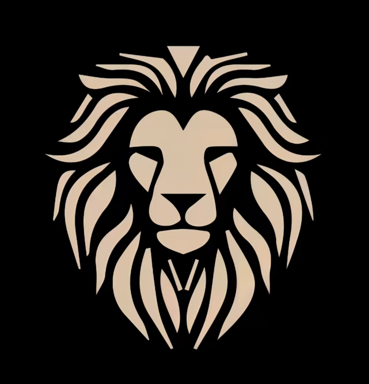 大学拾光优品 Logo